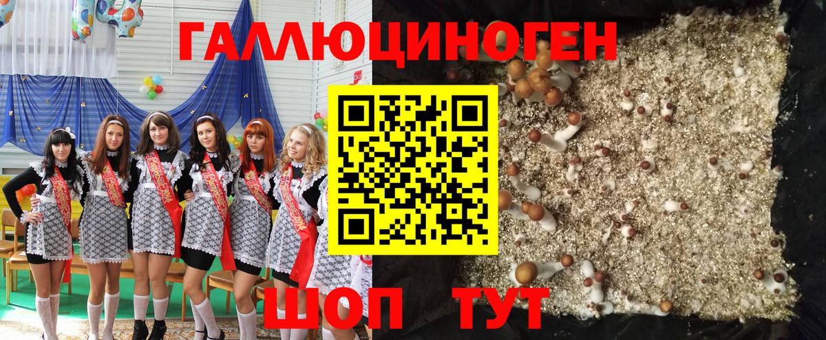 Псилоцибиновые грибы Magic Shrooms  Вход с VPN  Ангарск 